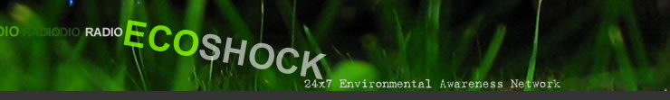 EcoShock